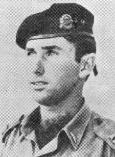 אבי אוסטרוביץ